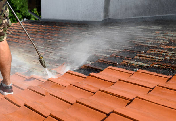 Best Roof Power Washing Services  in Arcadia, IN