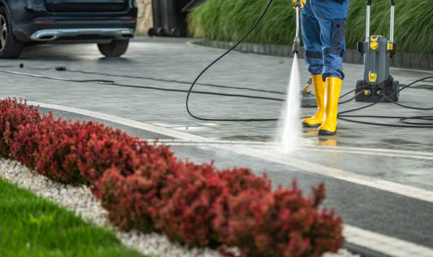 Best Deck Cleaning Services  in Arcadia, IN